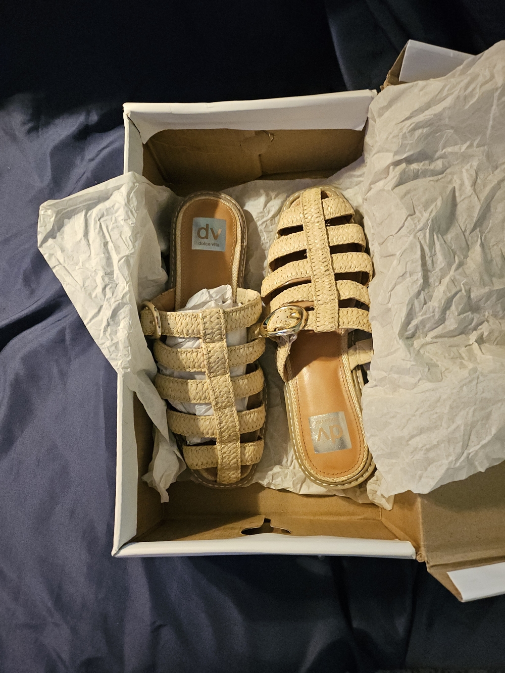 DV by Dolce Vita Beige Woven Slide Sandals Brand New 7.5